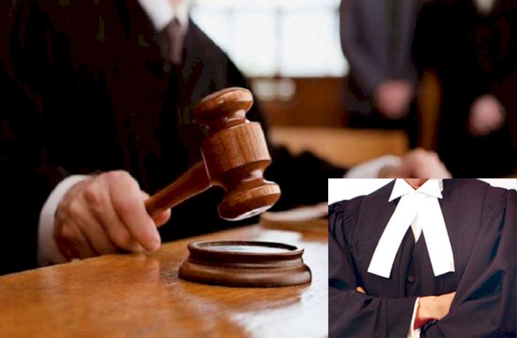4 घंटे से तमाशा चल रहा, CM मोहन यादव को बताऊंगा… हाईकोर्ट में बोला वकील