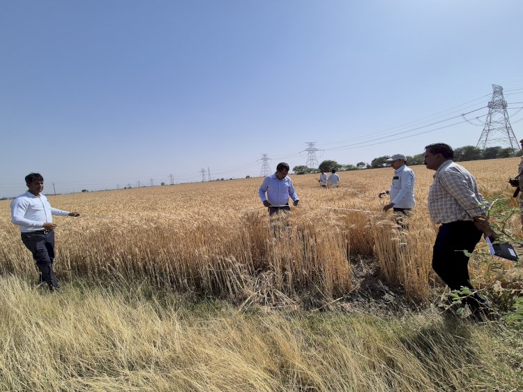 फसल उत्पादकता का आंकलन, रवी की फसल का सही उत्पादन का आंकड़ा सरकार को प्रेषित किया जाय । डीएम