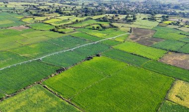 प्रदेश में पहला गरीबी मुक्त गांव घोषित हो सकता रगोली गांव। 5 अप्रेल को आयेंगे मुख्य सचिव मनोज कुमार सिंह साथ में होंगे उद्यान मंत्री दिनेश प्रताप सिंह