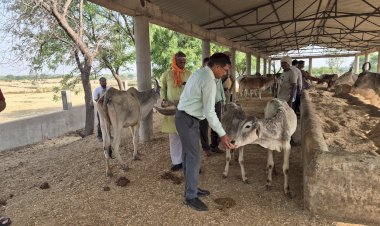 जिलाधिकारी ने गौशाला का किया औचक निरीक्षण, अधिकारियों को दिए आवश्यक निर्देश