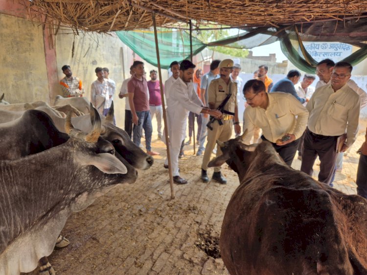 निर्माणाधीन कान्हा गौशाला का निरीक्षण: 7 दिन में गोवंशों को स्थानांतरित करने के निर्देश