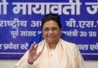 जातिगत जनगणना के मुद्दे पर मायावती ने बीजेपी-कांग्रेस दोनों को घेरा, बीएसपी चीफ क्या बोलीं?