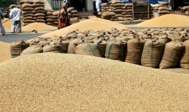 किसान 5 मई को गेहूं उपार्जन के लिए कर सकते हैं स्लॉट बुक