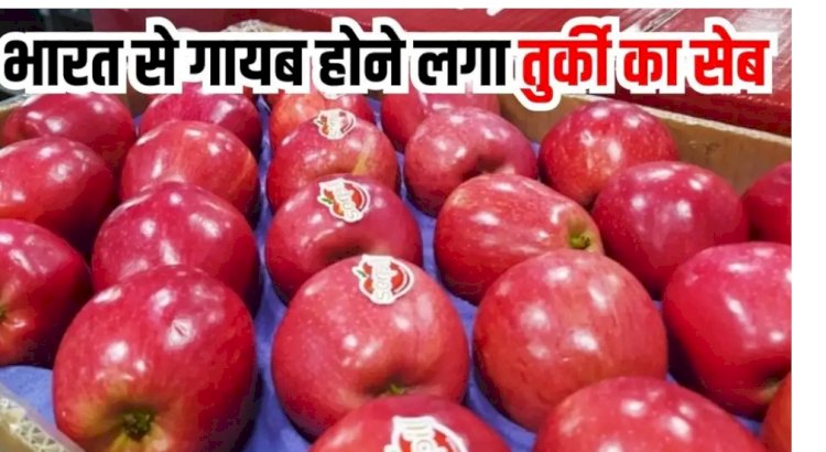 पाकिस्तान का साथ देने वाले तुर्की का बॉयकॉट, भारतीय बोले- न उनके सेब खाएंगे, न घूमने जाएंगे