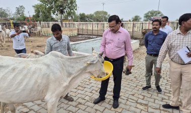 जिलाधिकारी ने किया कान्हा गौशाला का निरीक्षण, गौवंशों को गुड़-चना खिलाकर दिया गौसेवा का संदेश