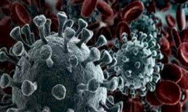 MP में कोरोना की तीसरी लहर की आहट! इंदौर में एक दिन में 12 नए मरीज, WHO ने भी दी चेतावनी