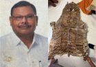 टाइगर की खाल से लेकर करोड़ों की संपत्ति तक: छापे में सरकारी अफसर निकला 'धनकुबेर' , EOW की छापेमारी में अकूत दौलत का खुलासा
