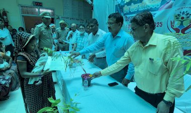 рдПрдХ рдкреЗрдбрд╝ рдорд╛рдБ рдХреЗ рдирд╛рдотАЭ рдЕрднрд┐рдпрд╛рди рдХреЗ рддрд╣рдд рдирд╡рдЬрд╛рддреЛрдВ рдХреЗ рдЕрднрд┐рднрд╛рд╡рдХреЛрдВ рдХреЛ рдорд┐рд▓рд╛ рдЧреНрд░реАрди рдЧреЛрд▓реНрдб рд╕рд░реНрдЯрд┐рдлрд┐рдХреЗрдЯ