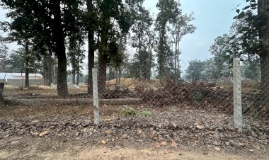 सरगुजा में वन भूमि घोटाला उजागर: पूर्व एसडीओ सहित कई पर फर्जीवाड़े का आरोप, एफआईआर की अनुशंसा