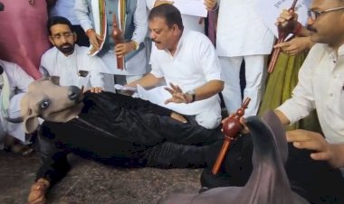 उमंग सिंघार ने भैंस के आगे बीन बजाकर किया सरकार का विरोध,सरकार पर मुद्दों की अनसुनी का आरोप, कांग्रेस का प्रतीकात्मक प्रदर्शन बना चर्चा का विषय