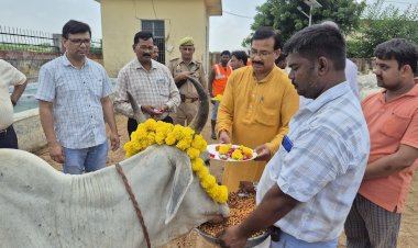 गौ आश्रय स्थलों में गूँजे भजन-कीर्तन, जिलाधिकारी ने किया गौ माता का पूजन।   संस्कृति और आस्था का संगम: जन्माष्टमी पर गौ-सेवा का संदेश