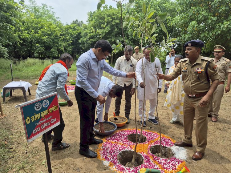 “एक पेड़ मां के नाम” अभियान के तहत जिलाधिकारी व पुलिस अधीक्षक ने किया हरिशंकरी पौधरोपण, जनपद में 10 हजार से अधिक स्थलों पर लगाए गए हरिशंकरी पौधे