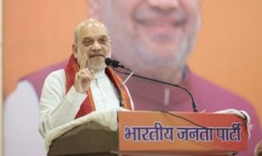 हथियार डाल दें, गोली नहीं चलेगी; अमित शाह ने ठुकराया संघर्ष विराम का प्रस्ताव : आत्मसमर्पण करें नक्सली