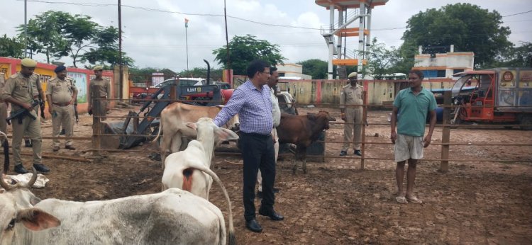 चमारी गौशाला का औचक निरीक्षण कर डीएम ने दिखायी नाराजगी लापरवाह अफसर-कर्मचारियों पर की कार्यवाही