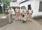 दुष्कर्म का फरार आरोपी आखिरकार पकड़ाया — राजस्थान से शाजापुर पुलिस ने किया गिरफ्तार —  पुलिस की बड़ी सफलता