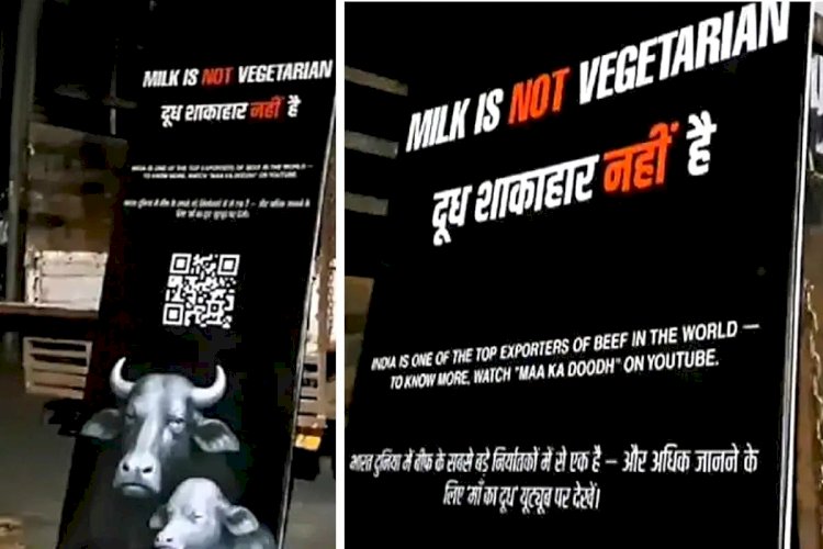 दूध शाकाहार नहीं है', जबलपुर में लगे पोस्टर से मचा बवाल; दिवाली से पहले माहौल बिगाड़ने की कोशिश, 3 गिरफ्तार