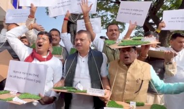 MP विधानसभा में बच्चोंं की मौत और किसानों को लेकर कांग्रेस का हंगामा: हाथों में खेत का मॉडल और चिड़िया के पुतले लेकर पहुंचे कांग्रेस विधायक