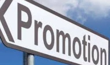 नए साल का बड़ा तोहफा! 176 आईएएस, आईपीएस व एसएएस अफसरों का प्रमोशन, आज जारी होगी लिस्ट