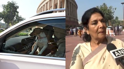 संसद परिसर में कार में पालतू कुत्ता लेकर पहुंचीं रेणुका चौधरी, बोलीं- ये काटता नहीं, काटने वाले संसद ; भाजपा ने आपत्ति जताई