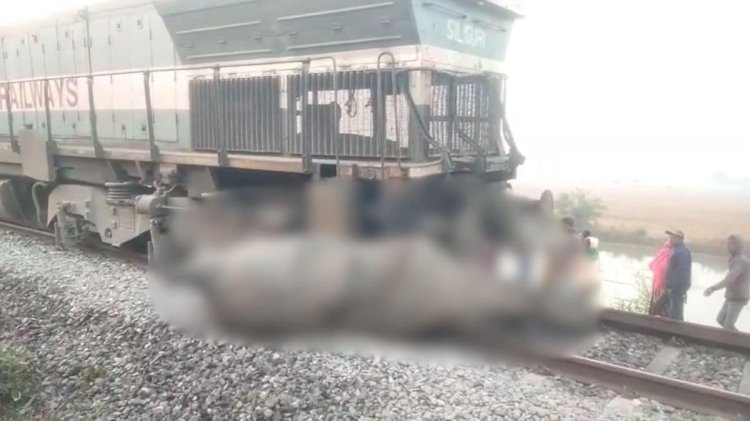 राजधानी एक्सप्रेस से टकराया हाथियों का झुंड, 8 की मौत; 5 डिब्बे और इंजन पटरी से उतरे,असम में बड़ा ट्रेन हादसा