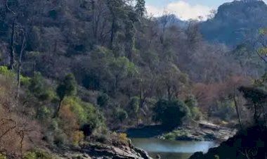 भोपाल में नए साल पर युवती से जंगल में दुष्कर्म, केरवा डैम घुमाने का कहकर ले गया प्रॉपर्टी डीलर, डरा-धमकाकर की ज्यादती