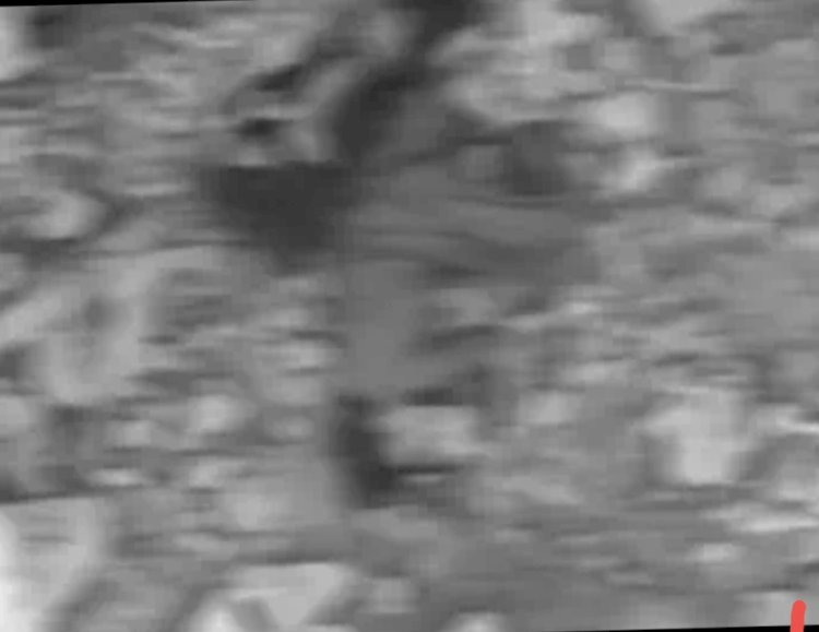 शिप्रा नदी में मिले युवक-युवती के शव, प्रेम-प्रसंग की आशंका; पुलिस जांच में जुटी