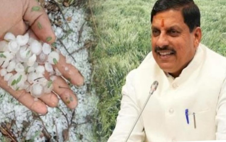 CM मोहन यादव ने अधिकारियों को सर्वे के दिए निर्देश,किसानों की मेहनत बर्बाद, बेमौसम बारिश और ओलों ने चौपट की फसल