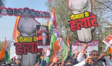 कांग्रेस ने महापौर मालती राय MIC मेम्बर का रावण रूपी पुतला फूंका,निगम के ISBT दफ्तर का घेराव,गोमांस का मुद्दा फिर गरमाया