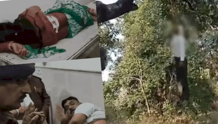 डिप्टी रेंजर समेत दो को गोली मारी:फायरिंग के बाद  पेड़ से लटका मिला आरोपी का शव,नौकरी से निकाले जाने का खौफनाक अंजाम