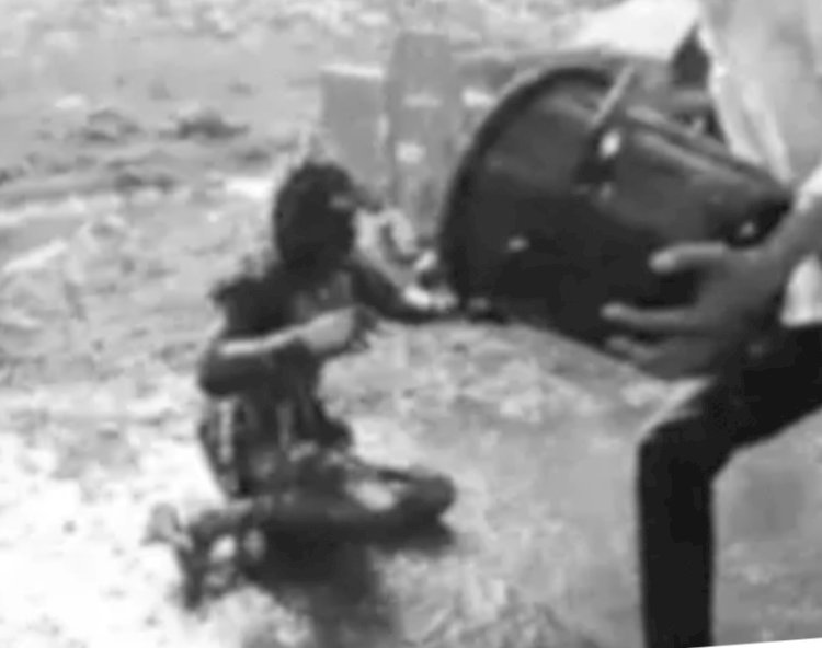 युवती ने पेट्रोल डालकर खुद को लगाई आग:गंभीर हालत में भोपाल के हमीदिया अस्पताल रैफर