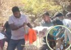 200 फीट की ऊंचाई से गिरी रोपवे की ट्राली, एक श्रद्धालु की मौत, कई घायल-महासमुंद के खल्लारी मंदिर में बड़ा हादसा