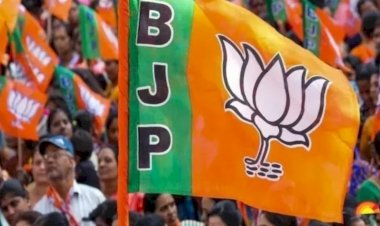 MP BJP में बड़ा संगठनात्मक बदलाव तय! प्रदेश संगठन महामंत्री को लेकर मंथन तेज, संघ की नई रणनीति से चौंका सकता है फैसला