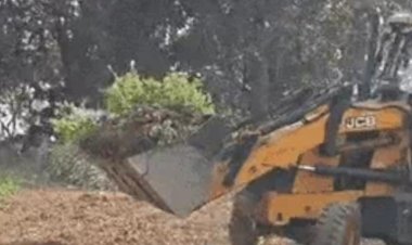 भाजपा नेता की अफीम की खेती पर चला बुलडोजर,पार्टी ने किया निलंबित,  रिकेश सेन का पलटवार—बीज बोते वक्त कहां थी भूपेश सरकार?