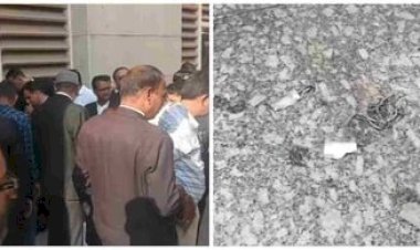 जबलपुर जिला अदालत के बाहर धमाका: कोर्ट परिसर में अफरा-तफरी, बम के अवशेष मिलने से सुरक्षा पर उठे सवाल