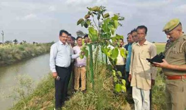 नून नदी पर किए गए वृक्षारोपण कार्य और पुलिया निर्माण का डीएम ने किया निरीक्षण,हरीशंकरी पौधे को वृक्ष बनता देख जताई प्रसन्नता, विकास कार्यों में गुणवत्ता क्षम्य नहीं होगी