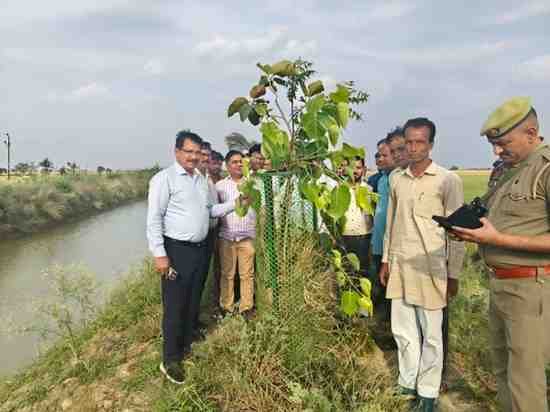 नून नदी पर किए गए वृक्षारोपण कार्य और पुलिया निर्माण का डीएम ने किया निरीक्षण,हरीशंकरी पौधे को वृक्ष बनता देख जताई प्रसन्नता, विकास कार्यों में गुणवत्ता क्षम्य नहीं होगी