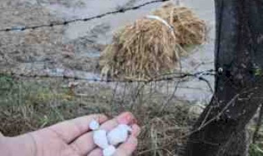 ओलावृष्टि पर प्रशासन अलर्ट, डीएम के निर्देश पर राजस्व टीमें गांव-गांव पहुंचीं- किसानों की हर क्षति का होगा सर्वे, पारदर्शी आकलन के साथ त्वरित राहत की तैयारी