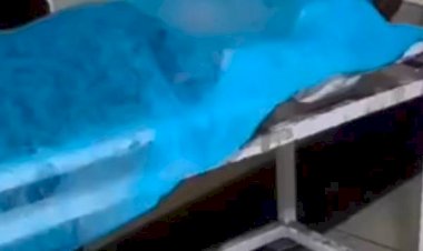 हैवान बना बेटा :पिता की पीट-पीटकर हत्या:रोते हुए बोली मां- बेटा लंबे समय से कर रहा था परेशान, अब मार डाला