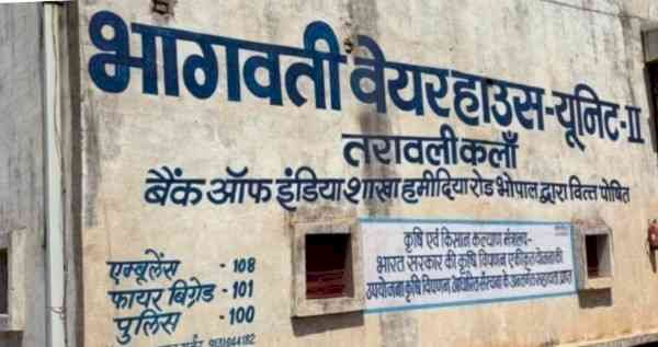 बैरसिया MLA का वेयरहाउस ब्लैकलिस्ट: सरकारी खरीदी से पहले ही 6522 क्विंटल गेहूं मिला, सहकारी समिति पर भी गिरी गाज