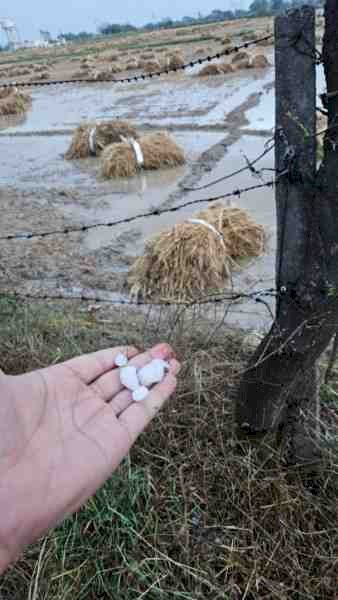 ओलावृष्टि पर प्रशासन अलर्ट, डीएम के निर्देश पर राजस्व टीमें गांव-गांव पहुंचीं- किसानों की हर क्षति का होगा सर्वे, पारदर्शी आकलन के साथ त्वरित राहत की तैयारी