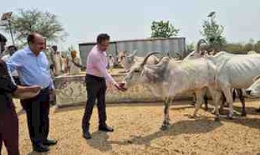 भीषण गर्मी में गौवंशों की सुरक्षा सर्वोच्च प्राथमिकता, लापरवाही पर होगी जवाबदेही: डीएम ने गौशाला का किया निरीक्षण
