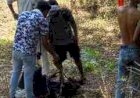 पुरानी रंजिश में तीन युवकों का अपहरण, 6 घंटे तक बीहड़ में बनाकर रखा ‘मुर्गा’, डंडों से पीटा; फंसाने को कट्टा और चोरी की बाइक रखकर बनाया वीडियो