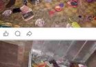 जालौन में चोरी की बड़ी वारदात: औरेखी गांव में ₹3 लाख का सामान साफ, ग्रामीणों में दहशत