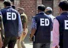 55 करोड़ के फर्जी बिलों का खेल! सड़क निर्माण घोटाले पर ED का बड़ा एक्शन, रीवा-जबलपुर में छापेमारी