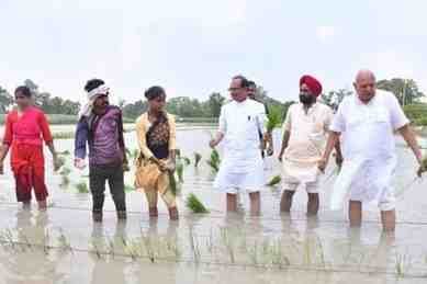 घुटनों तक पायजामा चढ़ाकर खेत में उतरे शिवराज, किसानों से बोले- धरती के साथ खिलवाड़ बंद करें, प्राकृतिक खेती ही भविष्य